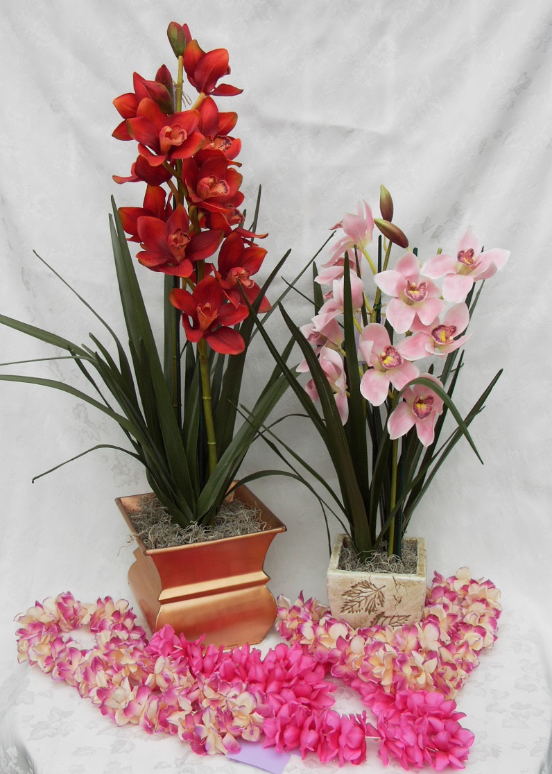 CYMBIDIUM1.jpg