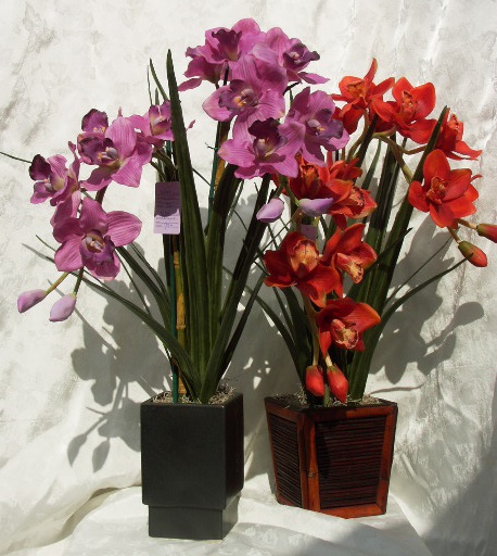 CYMBIDIUM3.jpg