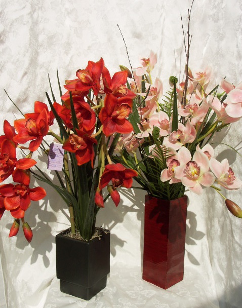 CYMBIDIUM4.jpg