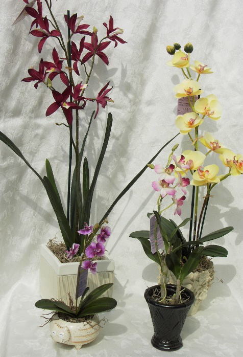 MOREORCHIDS1.jpg