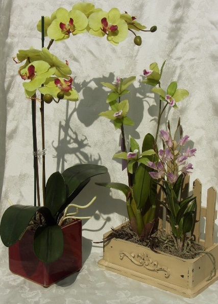 MOREORCHIDS2.jpg