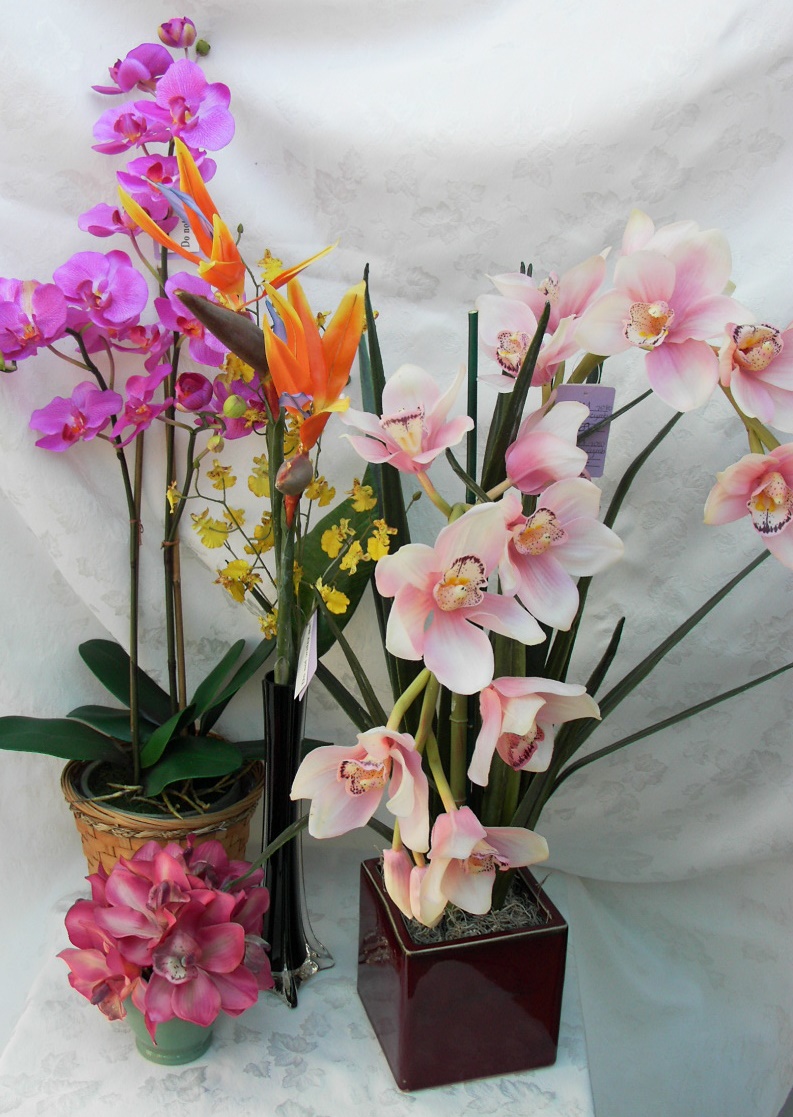 MOREORCHIDS5.jpg