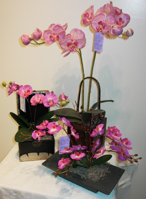 PHALENOPSIS35.jpg